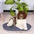 Ferplast Coussin en coton et peluche pour chiens et chats. RELAX F