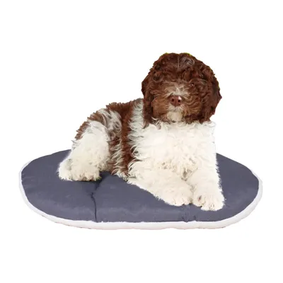 Ferplast Coussin en coton et peluche pour chiens et chats. RELAX F