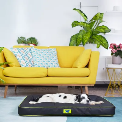 Lit pour Chiens Matelas Tapis de Chat /Marron Multi-Taille