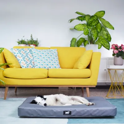 Ferplast Petit matelas avec rembourrage amovible. En POLO