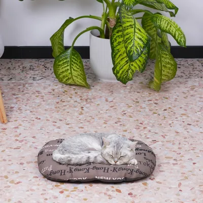 Ferplast Coussin en coton avec rembourrage doux. Diverses RELAX C