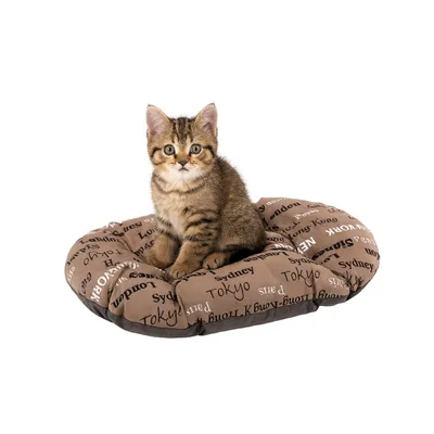 Ferplast Coussin en coton avec rembourrage doux. Diverses RELAX C