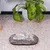 Ferplast Coussin en coton avec rembourrage doux. Diverses RELAX C