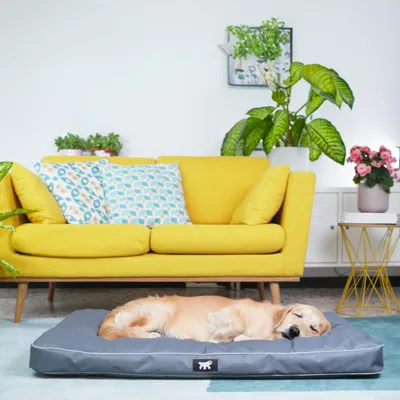Ferplast Petit matelas avec rembourrage amovible. En POLO