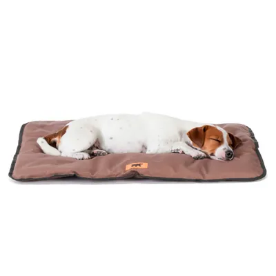 Ferplast Katzen- und Hundekissen aus Baumwolle und Plüsch. JOLLY