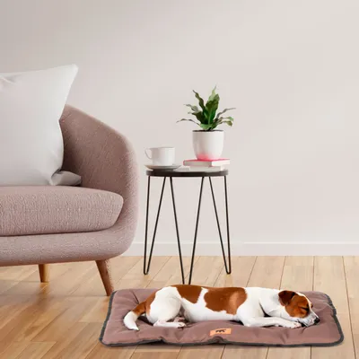 Ferplast Katzen- und Hundekissen aus Baumwolle und Plüsch. JOLLY