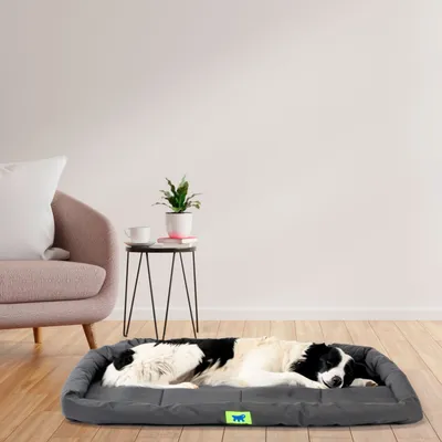 Ferplast Petit matelas en tissu technique pour chien