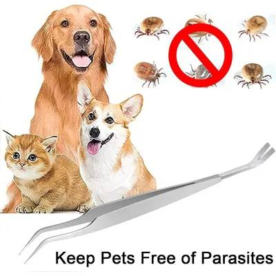 MCBOSON 2 en 1 Pince à Tiques MCBOSON 2 en 1 Pince à Tiques