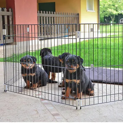 Ferplast Enclos éducatif pour chiots et chiens DOG TRAINING