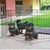 Ferplast Enclos éducatif pour chiots et chiens DOG TRAINING