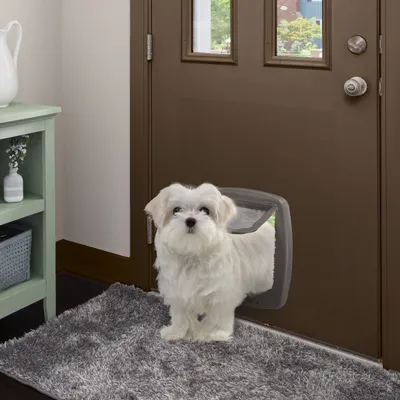 Ferplast Porte pour grands chats et petits chiens Ferplast SWING 9