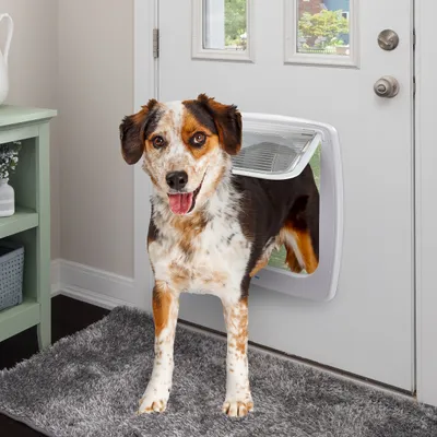 Ferplast Chatière manuelle à 4 voies Swing 15T  72108011