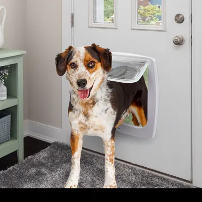 Ferplast Chatière manuelle à 4 voies Swing 15T  72108011