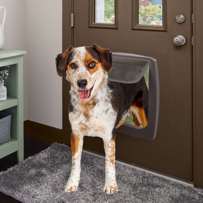 Ferplast Grande porte pour chien Ferplast SWING 15 avec SWING 15