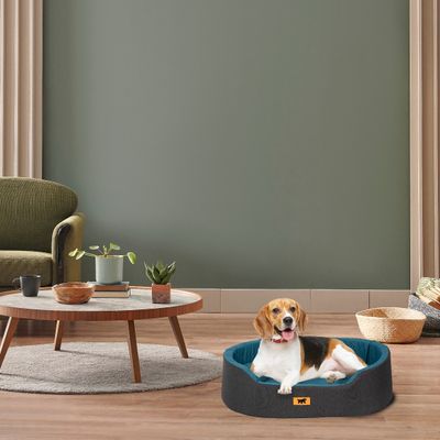 Ferplast Ferplast Lit d'intérieur pour chien et chat, en DANDY COLOURS