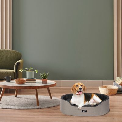 Ferplast Ferplast Lit d'intérieur pour chien et chat, en DANDY COLOURS