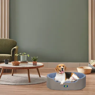 Ferplast Ferplast Lit d'intérieur pour chien et chat, en DANDY COLOURS