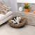 Ferplast Corbeille en plastique pour chiens et chats avec SOFA' Ferplast Corbeille en plastique pour chiens et chats avec SOFA'