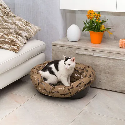 Ferplast Corbeille en plastique pour chiens et chats avec SOFA' Ferplast Corbeille en plastique pour chiens et chats avec SOFA'
