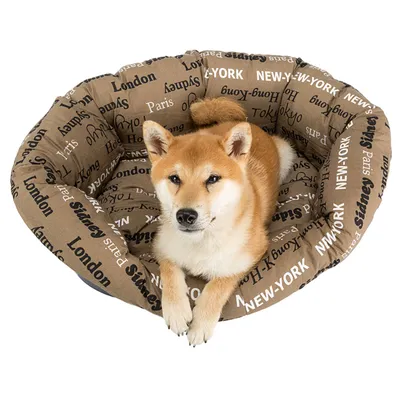 Ferplast Corbeille en plastique pour chiens et chats avec SOFA' Ferplast Corbeille en plastique pour chiens et chats avec SOFA'