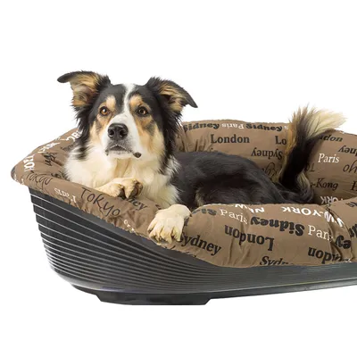 Ferplast Corbeille en plastique pour chiens et chats avec SOFA' Ferplast Corbeille en plastique pour chiens et chats avec SOFA'