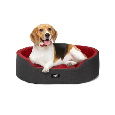 Ferplast Ferplast Lit d'intérieur pour chien et chat, en DANDY COLOURS