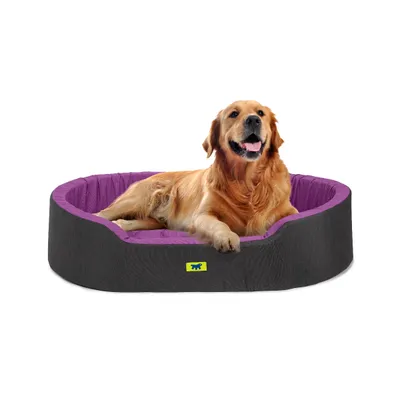 Ferplast Ferplast Lit d'intérieur pour chien et chat, en DANDY COLOURS