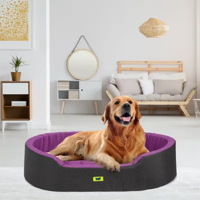 Ferplast Ferplast Indoor-Hunde- und Katzenbett aus DANDY COLOURS