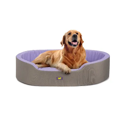 Ferplast Ferplast Lit d'intérieur pour chien et chat, en DANDY COLOURS