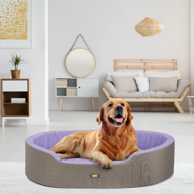 Ferplast Ferplast Lit d'intérieur pour chien et chat, en DANDY COLOURS