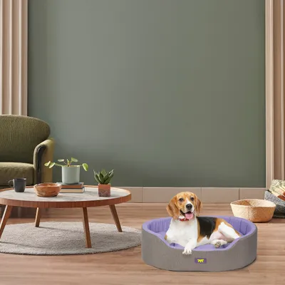 Ferplast Ferplast Lit d'intérieur pour chien et chat, en DANDY COLOURS