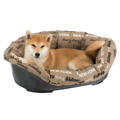 Ferplast Corbeille en plastique pour chiens et chats avec SOFA' Ferplast Corbeille en plastique pour chiens et chats avec SOFA'