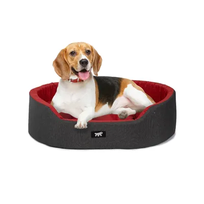 Ferplast Ferplast Lit d'intérieur pour chien et chat, en DANDY COLOURS