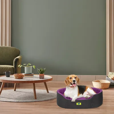 Ferplast Ferplast Indoor-Hunde- und Katzenbett aus DANDY COLOURS