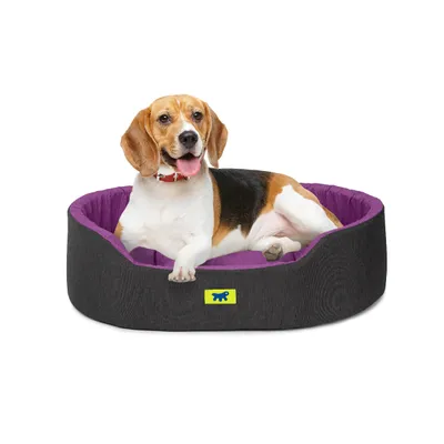 Ferplast Ferplast Lit d'intérieur pour chien et chat, en DANDY COLOURS