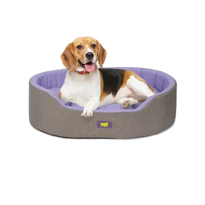 Ferplast Ferplast Lit d'intérieur pour chien et chat, en DANDY COLOURS