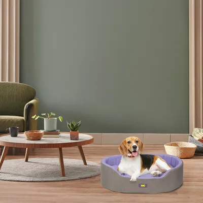 Ferplast Ferplast Lit d'intérieur pour chien et chat, en DANDY COLOURS