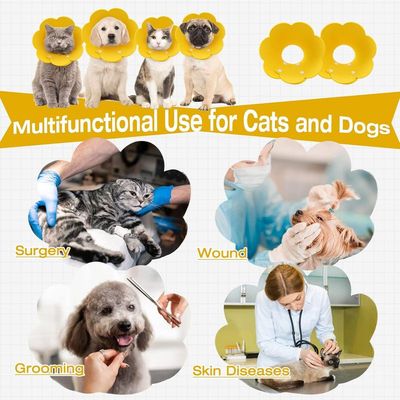 MCBOOSN 2-teiliges Katzen-/Hundehalsband