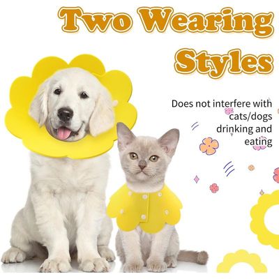 MCBOOSN 2-teiliges Katzen-/Hundehalsband