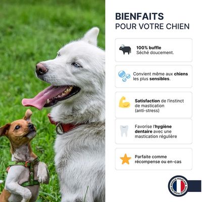 France Croquettes - Bâtonnets de buffle - Riche en protéines