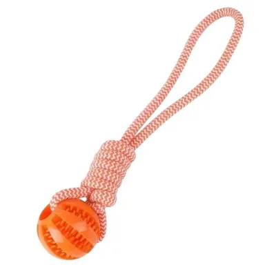 FranceCroquettes Balle en silicone avec corde