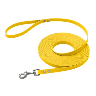 bio-leine Biothane laisse 5m avec dragonne pour les chiens > 35kg