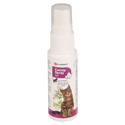 Catnip en spray de 25 ml pour votre chat