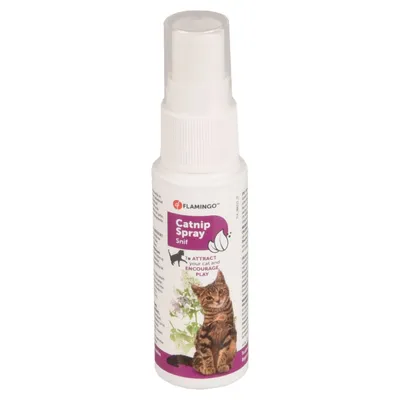 Catnip en spray de 25 ml pour votre chat
