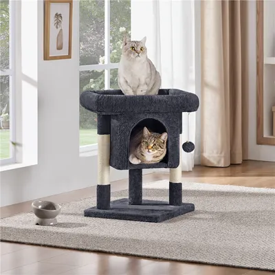Kratzbaum Klein 60cm Katzenbaum stabil Kletterbaum mit großem
