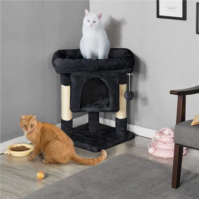 Arbre à Chat Design Avec Niche Et Plate-forme Arbre-griffoir Noir Arbre à Chat Design Avec Niche Et Plate-forme Arbre-griffoir Noir