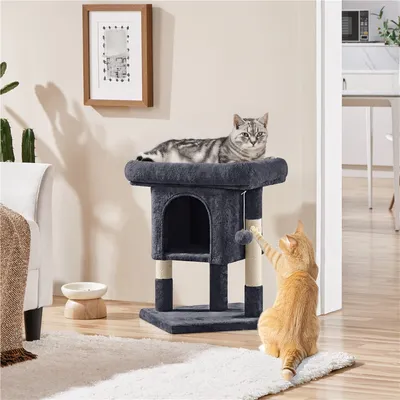 Kratzbaum Klein 60cm Katzenbaum stabil Kletterbaum mit großem