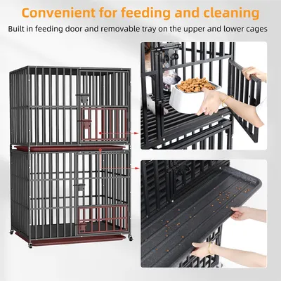 Cage Chien Transparent caisse pour Animaux