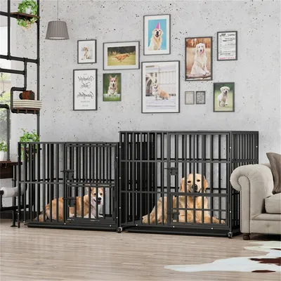 Cage Chien Transparent caisse pour Animaux