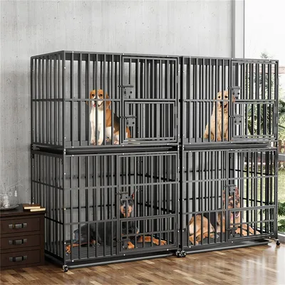 Cage Chien Transparent caisse pour Animaux